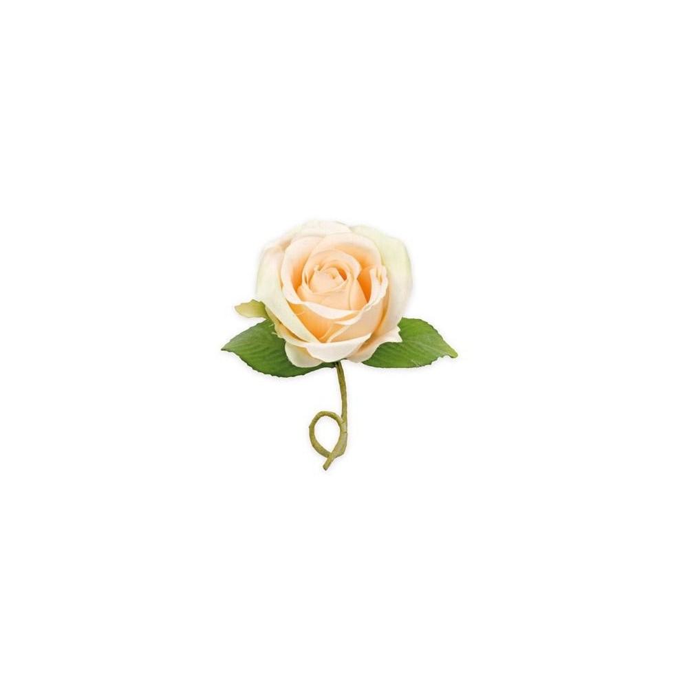 ROSELLINA CDUE FOGLIE CIPRIA
